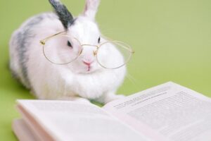 Cute white rabbit wearing glasses, reading a book on a green background.